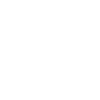 Flowserve Logo